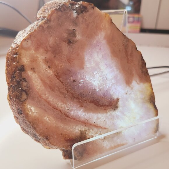 Flower Agate Slab – Growth, Healing & Inspiration - Picture 7 of 10